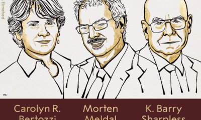 Carolyn Bertozzi, Barry Sharpless y Morten Meldal ganaron el Nobel de Química 2022