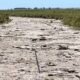 El riesgo de sequía alcanzó las 175 millones de hectáreas durante diciembre, con un incremento de 10 millones de hectáreas respecto del mes anterior