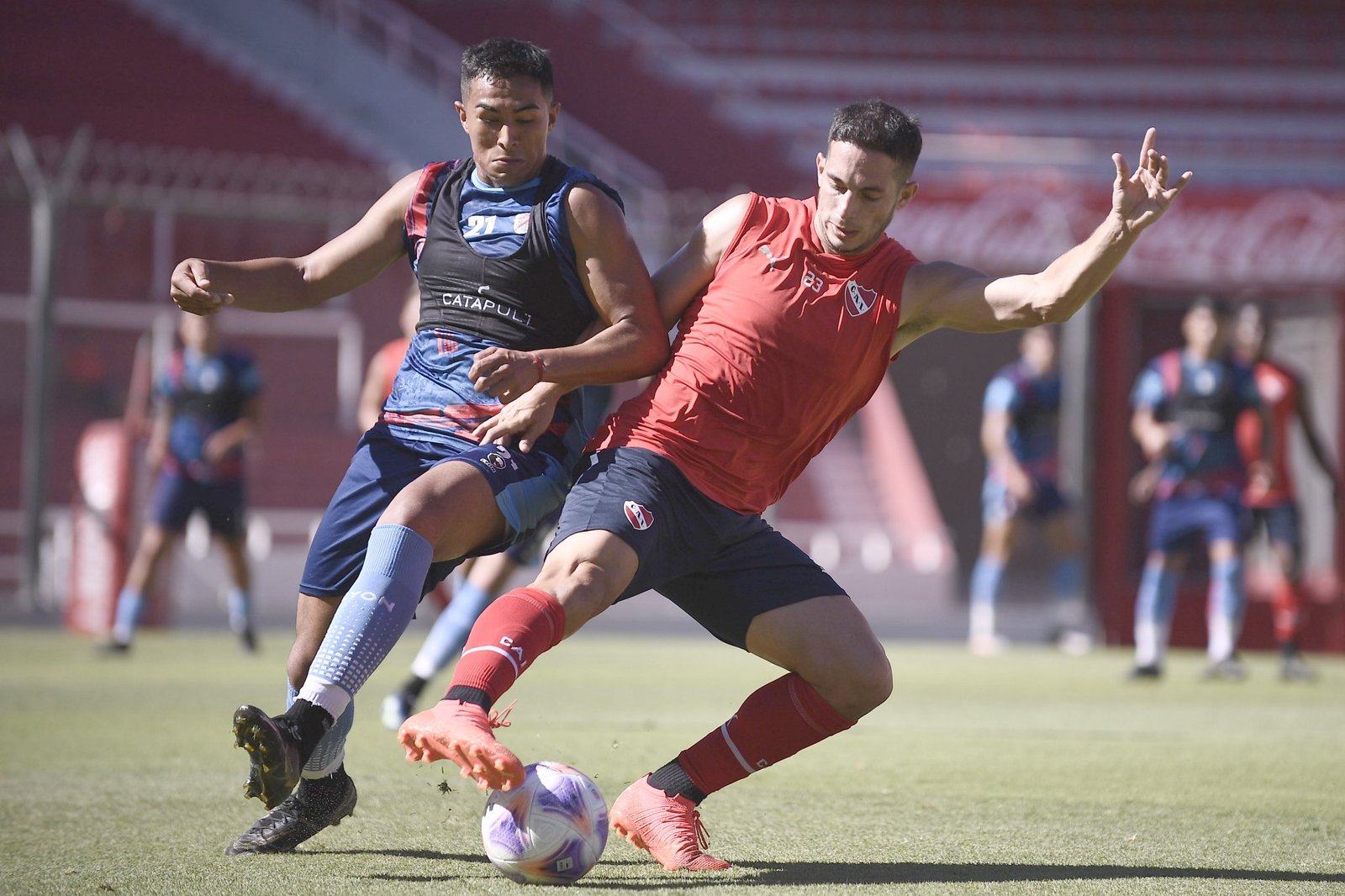 Arsenal - Independiente  EN VIVO - Liga Profesional de Fútbol 2023 