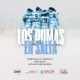 Los Pumas regresan a Salta: un evento que potencia el deporte y el turismo provincial