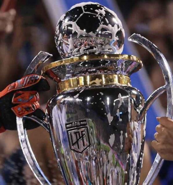 Conocé cómo quedaron los Grupos Liga Profesional 2026, el formato del torneo, las zonas, los clásicos y el sistema de clasificación