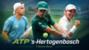Alex de Miñaur avanzó a cuartos en 's-Hertogenbosch y Thijs Boogaard hizo historia con 17 años en el Libema Open ATP 250.