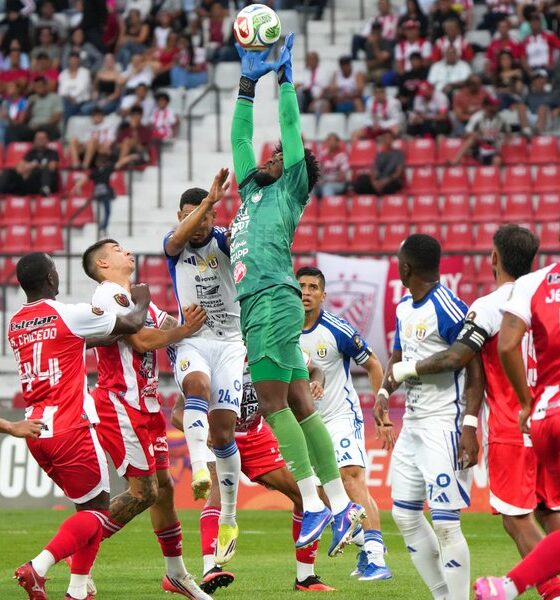 Deportivo Táchira lidera la Liga FUTVE tras la Jornada 7