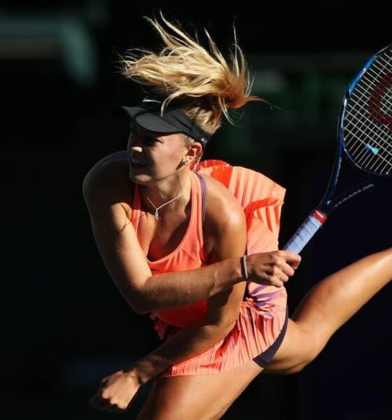 Mundo Challenger femenino: Galfi y Andreescu, protagonistas